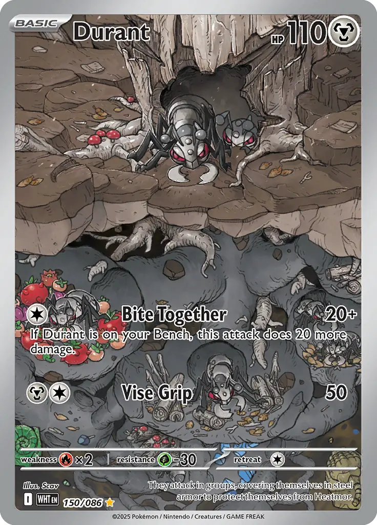 WHT - White Flare - 150/086 - Durant