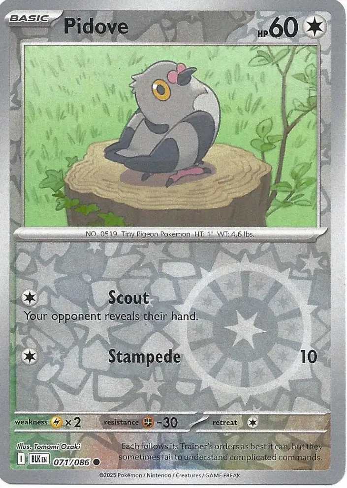 BLK - Black Bolt - 071/086 - Pidove (Reverse Holo)