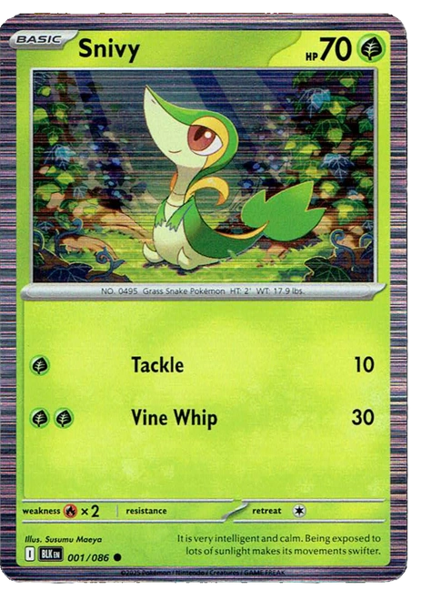 BLK Black Bolt - 001/086 - Snivy (Holo)