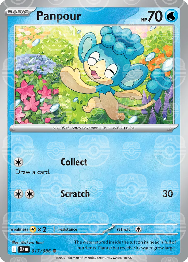 BLK - Black Bolt - 017/086 - Panpour (Master Ball Holo)