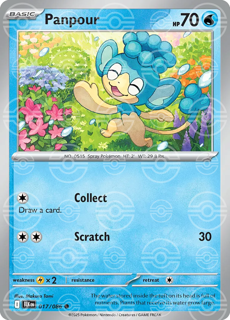 BLK - Black Bolt - 017/086 - Panpour (Poké Ball Holo)