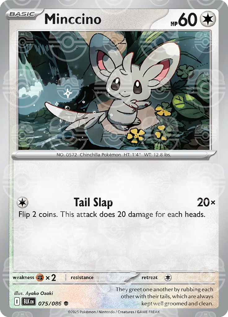 BLK - Black Bolt - 075/086 - Minccino (Master Ball Holo)